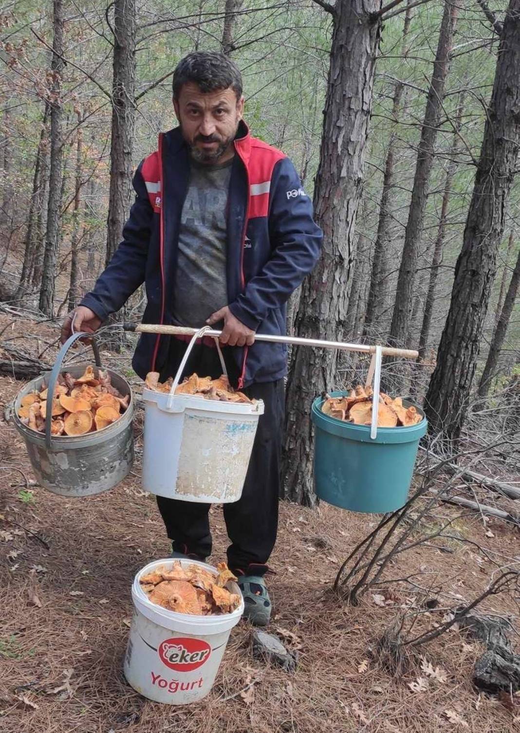 Ormandan bedavaya topluyor: Ayda 90 bin TL kazanıyor! 1